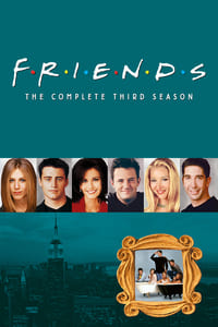 Friends Season 3 poster