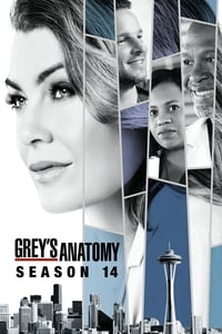 Greys Anatomy Season 14 poster