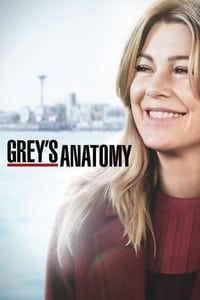 Greys Anatomy Season 15 poster