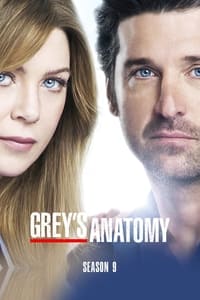Greys Anatomy Season 9 poster