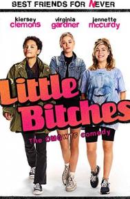 Little Bitches poster