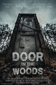 Door in the Woods poster