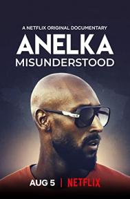 Anelka: Misunderstood poster