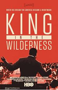 King In The Wilderness poster