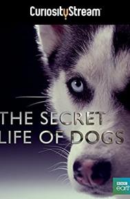 Secret Life of Dogs poster