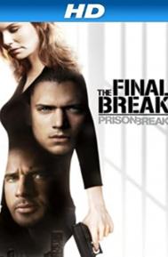 Prison Break: The Final Break poster