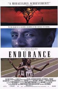 Endurance poster