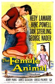 The Female Animal poster