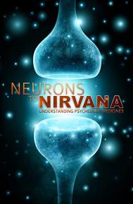 Neurons to Nirvana poster