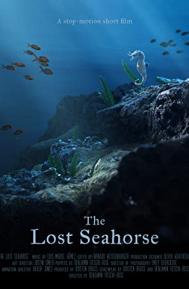 The Lost Seahorse poster