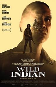 Wild Indian poster
