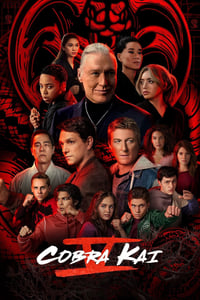 Cobra Kai Season 5 poster