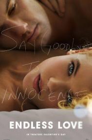 Endless Love poster