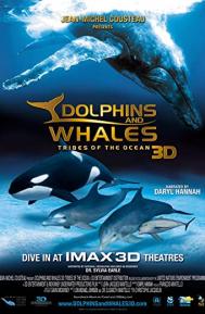 Dolphins and Whales 3D: Tribes of the Ocean poster