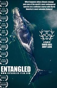 Entangled: The Race to Save Right Whales from Extinction poster