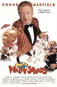 Meet Wally Sparks poster