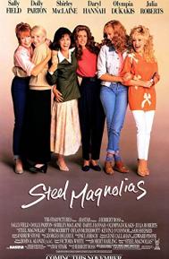 Steel Magnolias poster