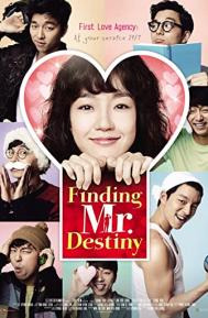 Finding Mr. Destiny poster