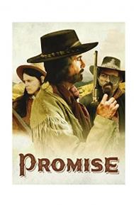 Promise poster