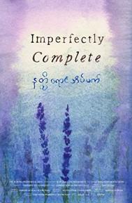 Imperfectly Complete poster