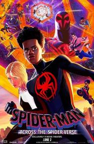 Spider-Man: Across the Spider-Verse poster